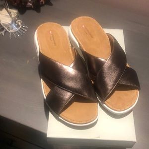 Metallic Slides by Clark’s